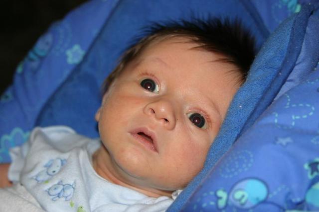 Bright eyed