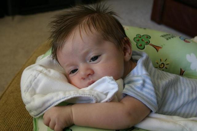 7 weeks 003