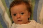 7 weeks 016