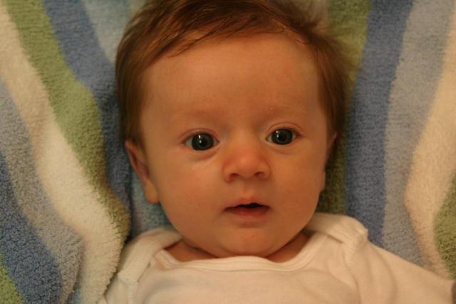 7 weeks 018