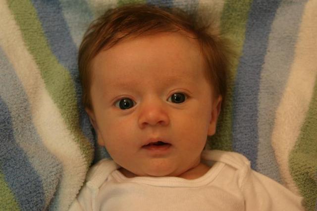7 weeks 019