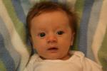 7 weeks 019